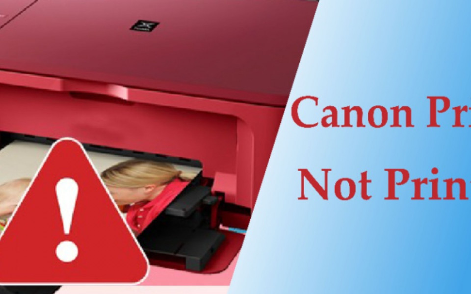 canon printer color ink not working