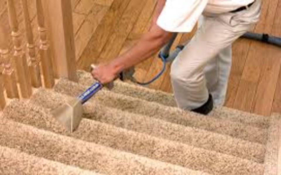 clean master carpet cleaning