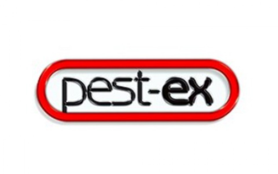 Pest Ex : Pest Control Philippines Termite Treatment Services In Philippines / Pest ex are your ...