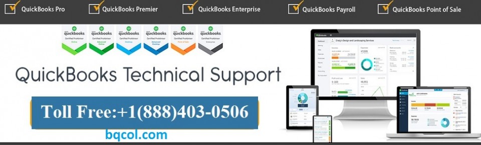 quickbooks pro support