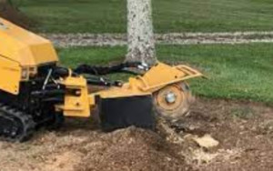 Woodchuck Stump Grinding | Croozi.com